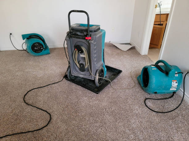 Best Residential water damage restoration  in Harrisburg, IL