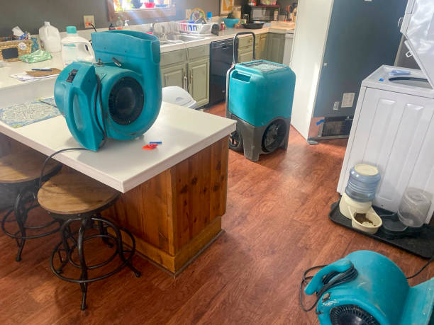 Best Basement water damage restoration  in Harrisburg, IL