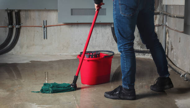 Best Emergency water damage restoration  in Harrisburg, IL
