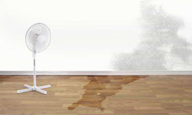 Best Fire Damage Restoration  in Harrisburg, IL