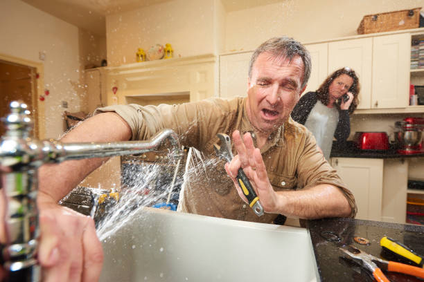 Best Flood damage cleanup  in Harrisburg, IL